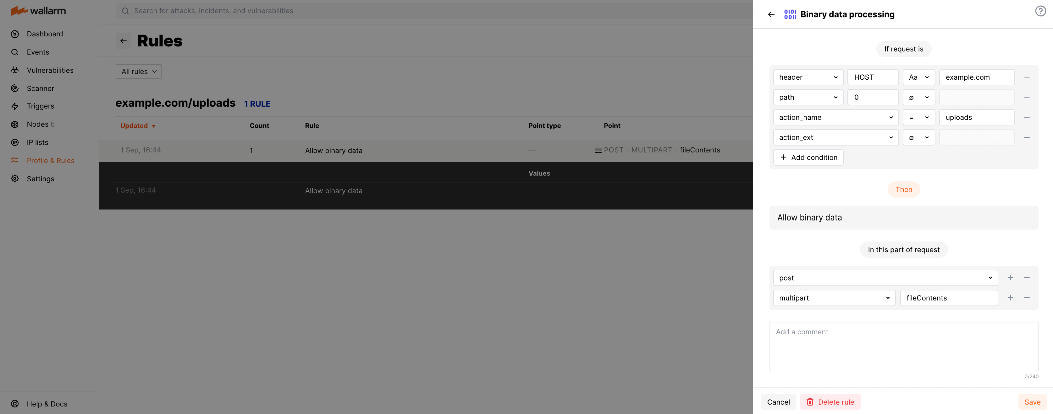 Example of the rule "Allow binary data"